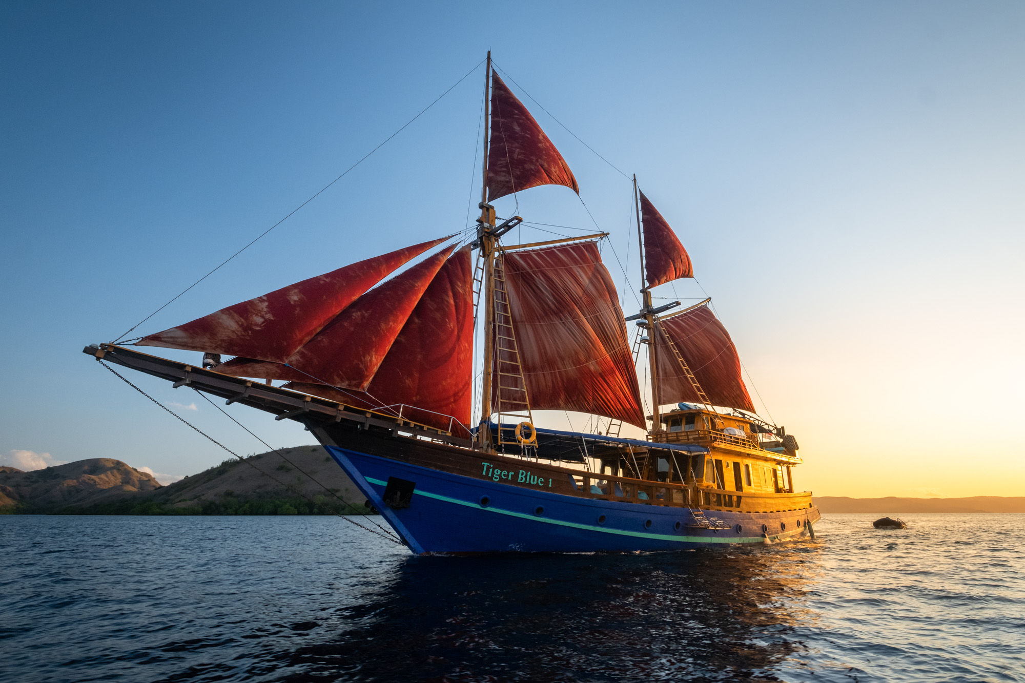 ディープブルーオーシャン コブラカレントダイバー 220F-110